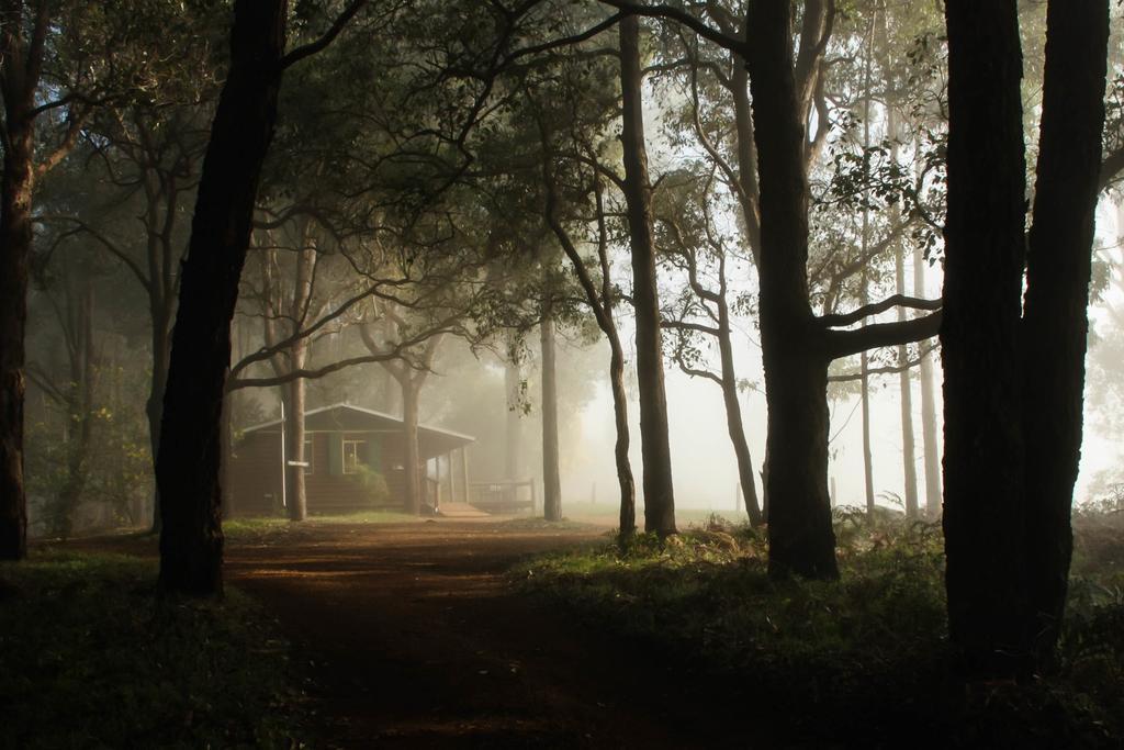 Balingup Heights Hilltop Forest Cottages Εξωτερικό φωτογραφία
