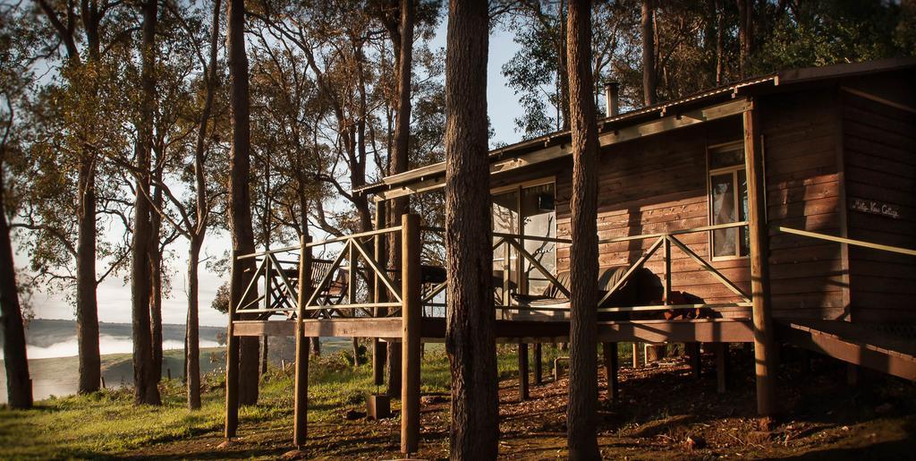 Balingup Heights Hilltop Forest Cottages Δωμάτιο φωτογραφία