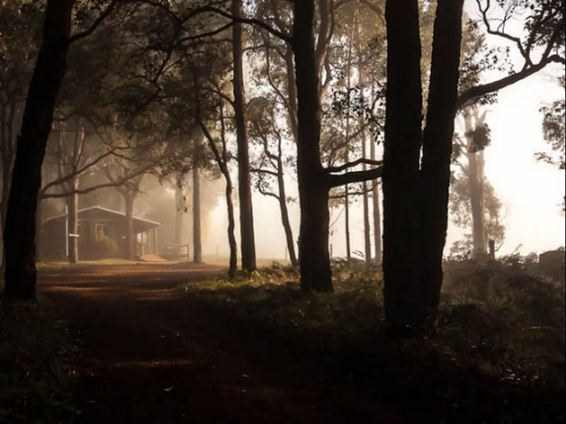 Balingup Heights Hilltop Forest Cottages Εξωτερικό φωτογραφία