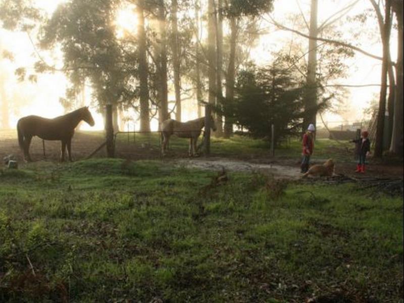 Balingup Heights Hilltop Forest Cottages Εξωτερικό φωτογραφία